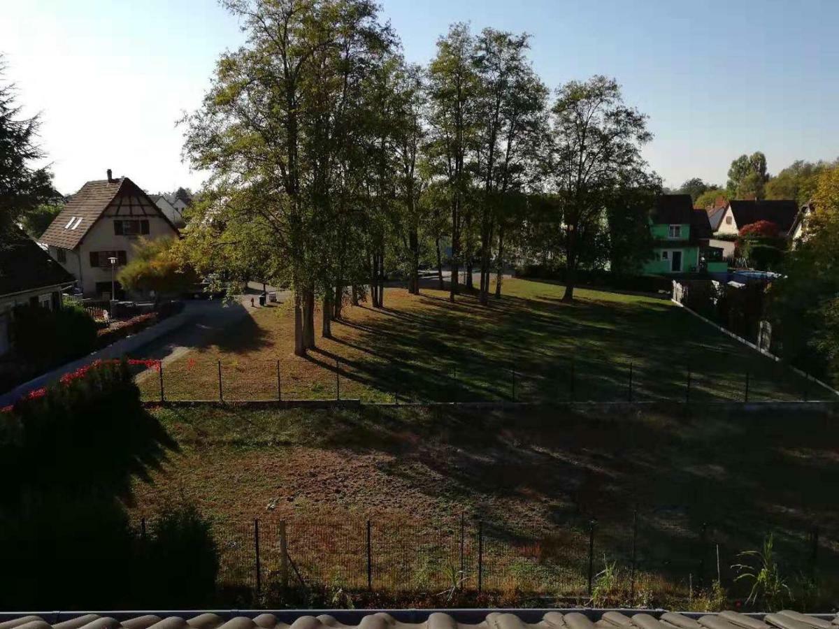 Appart Les Cerises Entre Strasbourg Et Haguenau Bischwiller Zewnętrze zdjęcie