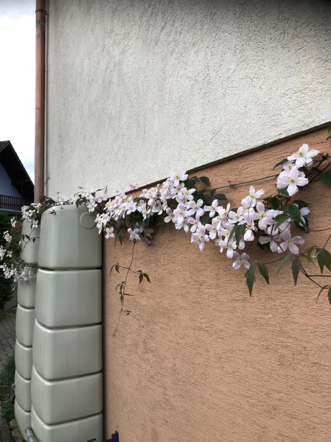Appart Les Cerises Entre Strasbourg Et Haguenau Bischwiller Zewnętrze zdjęcie