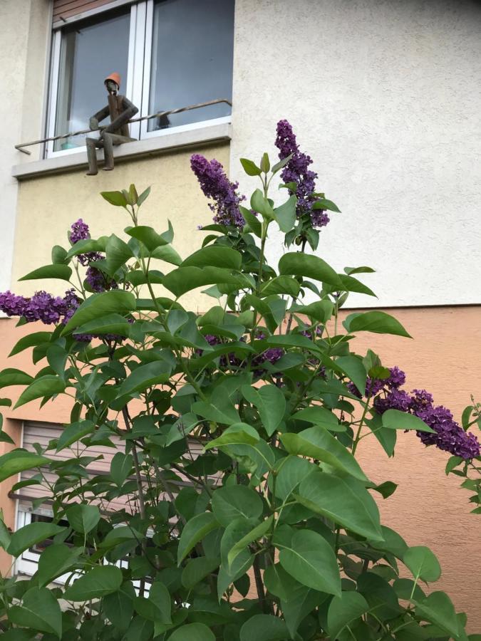 Appart Les Cerises Entre Strasbourg Et Haguenau Bischwiller Zewnętrze zdjęcie